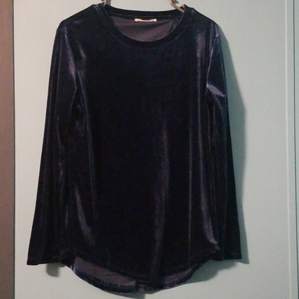 Blue velvet top